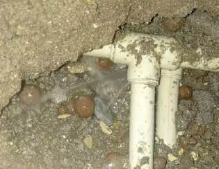 织金卫生间测漏