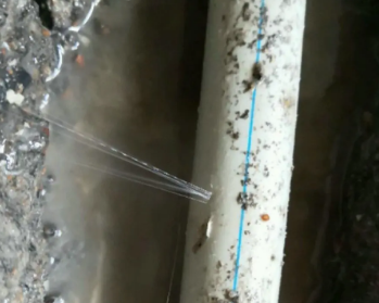 织金卫生间测漏水多少钱