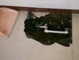 织金卫生间测漏水多少钱
